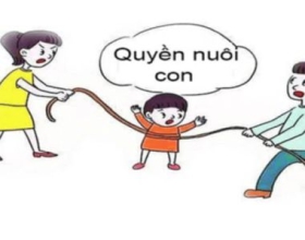 Chia Tài Sản - Quyền Nuôi Con